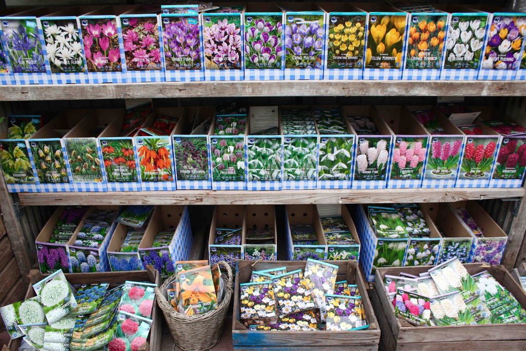 Grønne Hjem har fået blomsterløg hjem. På billedet ses narcisser, krokus, tulipaner, perlehyacinter og mange andre blomsterløg.